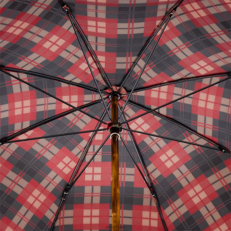 مظلة | 142 سلتيك -5 أوري - مظلة قرن المها PASOTTI Z446V99